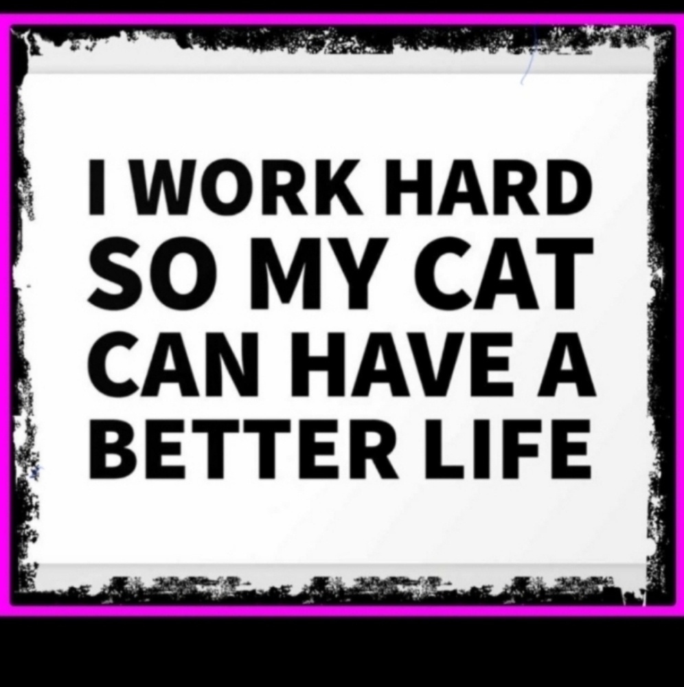 I Rescue ANIMALS!